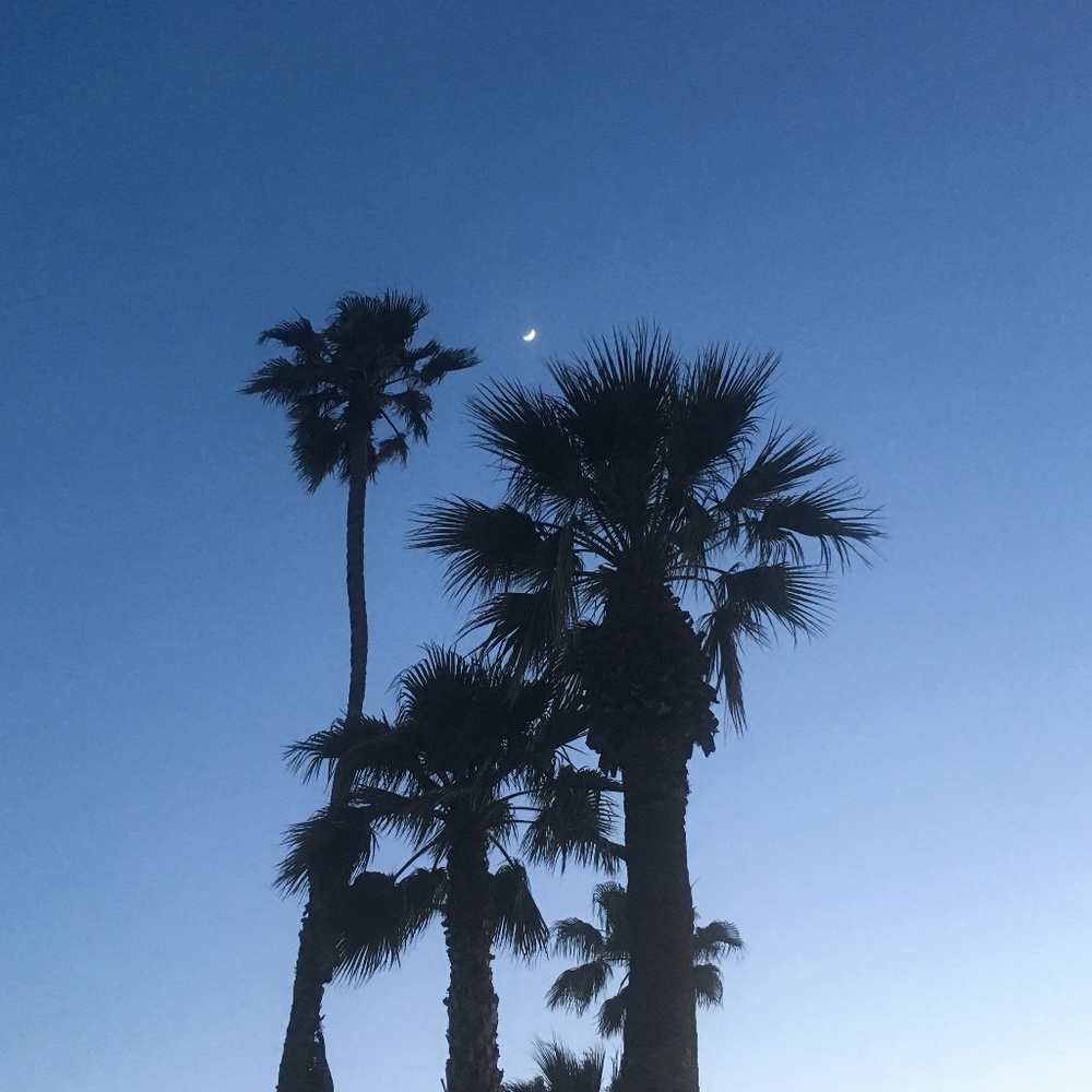 Meet your Posher, TinTrees